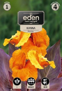 Kanna (Canna) Wyoming   kapers 1szt
