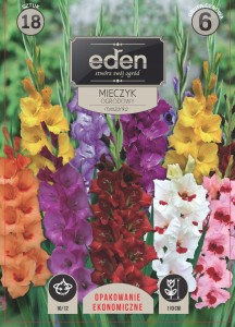 Mieczyk (Gladiolus) mix  kapers 18 cebulek 10/12