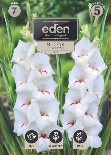 mieczyk claudy- kapers Vilmorin Eden