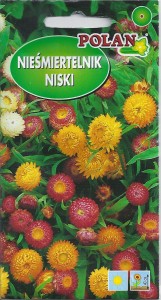 Nieśmiertelnik niski mix 1g, Kocanka (Helichrysum bracteatum) nasiona