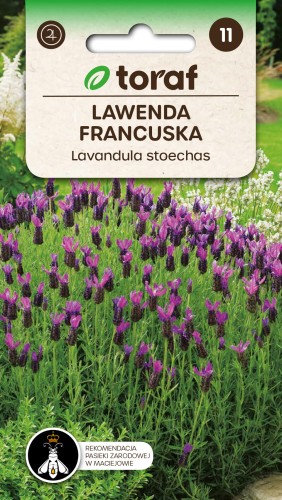 lawenda francuska 0,1g nasion toraf.jpg