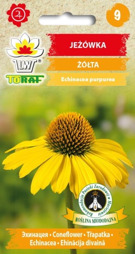 jeżówka żółta 0,2g nasion Toraf.jpg