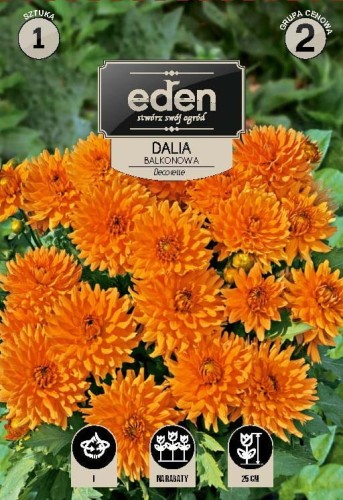 dalia balkonowa decorette-kapers vilmorin eden