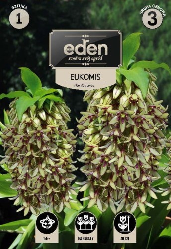 eukomis bicolor kapers vilmorin eden