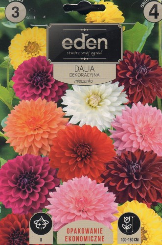 dalia dekoracyjna mix Vilmorin Eden
