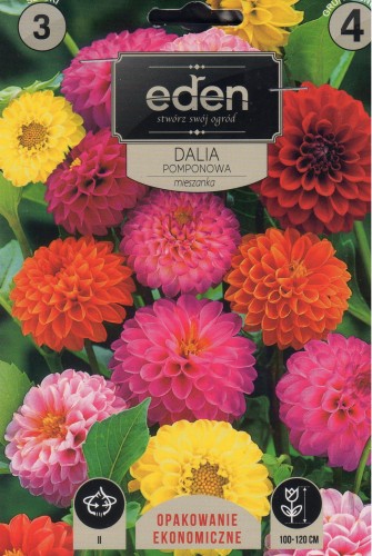 dalia pomponowa mix Vilmorin Garden