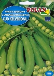 Groch Cud Kelvedonu 40g nasiona 