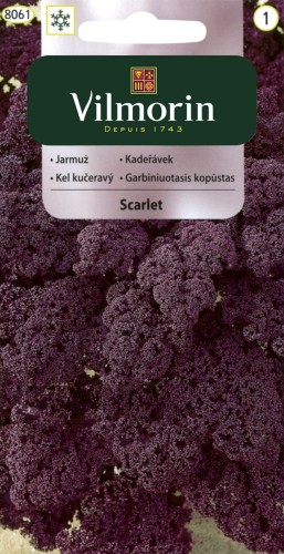 odmiana średniopóżna