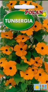 Tunbergia oskrzydlona/żabie oczko 0,5g (Thunbergia alata) nasiona   
