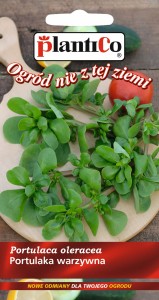 Portulaka warzywna 0,5g nasion