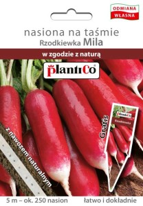 Rzodkiewka Mila  nasiona na taśmie 5m 
