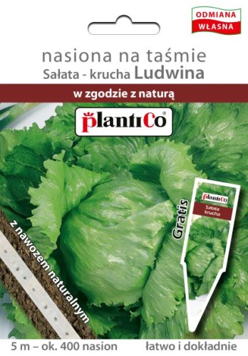 sałata krucha ludwina taśma plantico.jpg