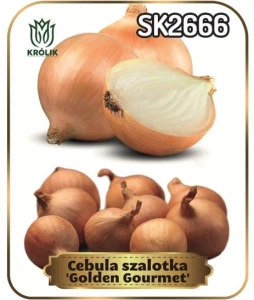 Cebula dymka szalotka Golden Gourmet 250g 