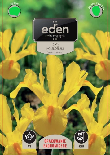 irys golden.jpg