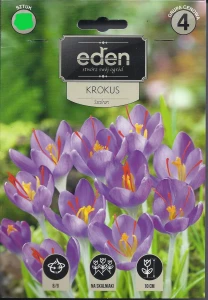 Krokus jesienny  Szafran (Crocus sativus)  kapers 7 cebulek 8/9  