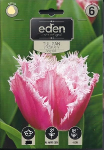 Tulipan strzępiasty Fancy Frills 11/12 4szt kapers  