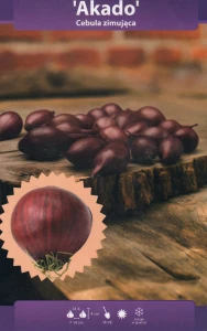 Cebula dymka zimująca czerwona Akado 250g  