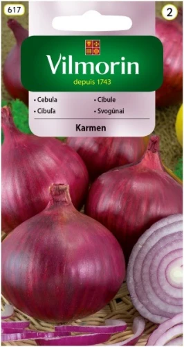 cebula czerwona karmen.jpg