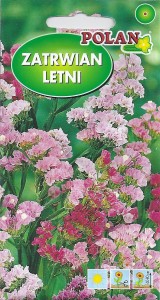 Zatrwian letni / wrębny różowy (Limonium sinuatum) 0,5g nasiona otarte
