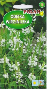 Odętka wirginijska biała 0,2g (Physostegia virginiana) nasiona