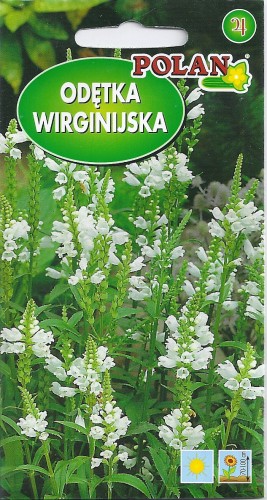 odetka.jpg