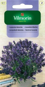 Lawenda lekarska 0,2g nasion