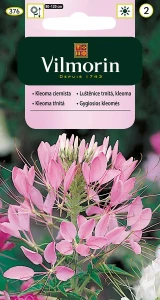 Kleome ciernista (Cleome spinosa) mix 1g nasion 