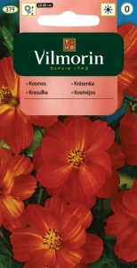 Kosmos Diablo,Onętek siarkowy (Cosmos sulphureus ) 1g nasion