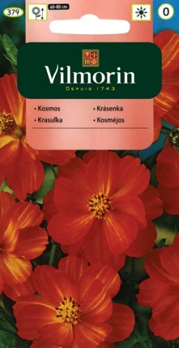 Kosmos Diablo Onętek siarkowy (Cosmos sulphureus ) 1g nasion