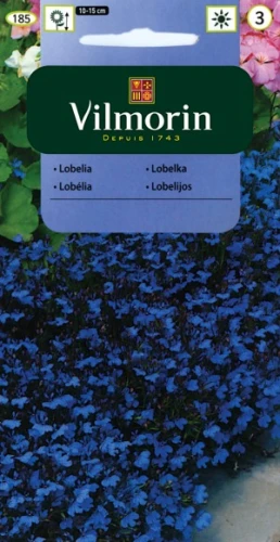 Lobelia,Stroiczka niebieska Blue Carpet (Lobelia erinus comp.nana) 0,5g nasion