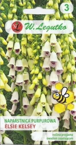 naparstnica biała Elsie Kelly (Digitalis purpurea)
