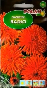 Nagietek wysoki pomarańczowy pełny Radio (Calendula officinalis) 3g nasion