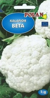 kalafior_beta_1g_nasion_polan.jpg