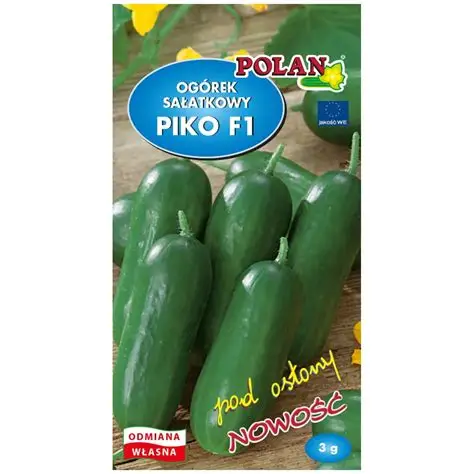 ogórek sałatkowy Piko F1.webp