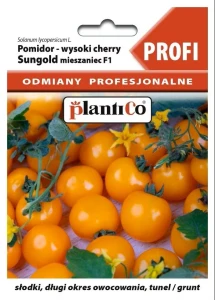 Pomidor Sungold F1  8 nasion PROFI 