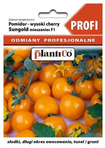 Pomidor Sungold F1 8 nasion PROFI