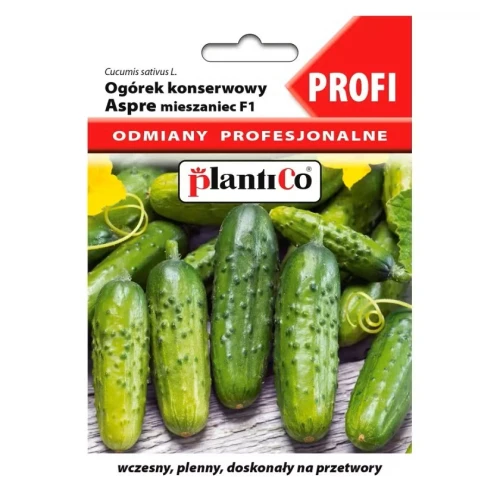 ogórek aspre f1.jpg