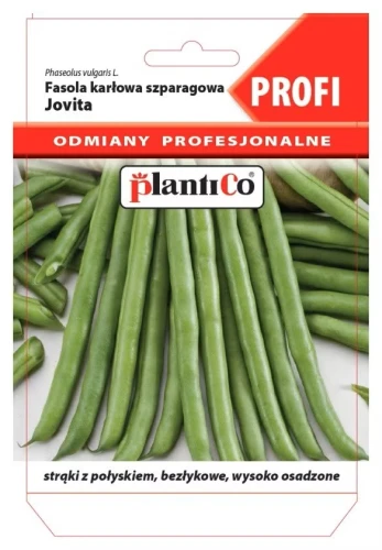 fasola szparagowa karłowa zielona Jovita 30g nasion Profi