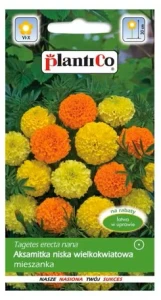 Aksamitka niska wielkokwiatowa (Tagetes erecta nana) mix 1g nasion 