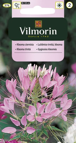 vilmorin zdjęcia 170.jpg
