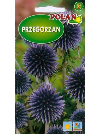 przegorzan-niebieski Polan.jpg