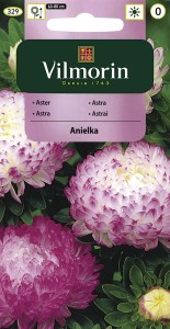 Aster chiński peoniowy Anielka 0,5g nasiona (Callistephus chinensis)        