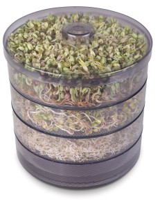 Kiełkownik plus nasiona brokuła, rzodkiewki i fasoli mung