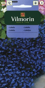 Lobelia,Stroiczka niebieska Blue Carpet   0,5g (Lobelia erinus comp.nana) nasiona  