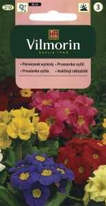 Pierwiosnek wyniosły mix 0,3g (Primula eleatior graniflora) nasiona 