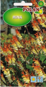 Mina,Gwiezdny powój 0,5g (Mina lobata) nasiona  