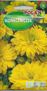 Słoneczniczek szorstki 2g (Heliopsis scabra) nasiona