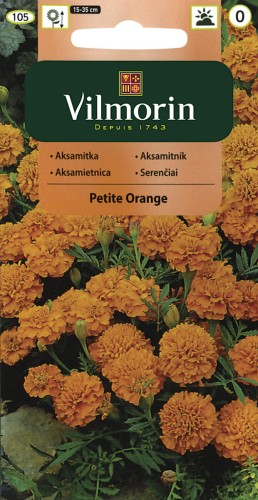 vilmorin zdjęcia 004.jpg