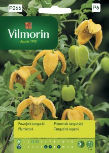Powojnik tangucki 0,2g żółty (Clematis tangutica) nasiona