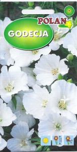 Godecja biała,Marszawa,Azalia letnia 1g (Godetia grandiflora fl.pl.) nasiona 